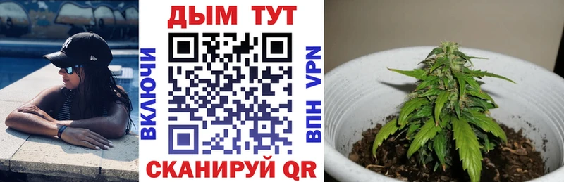 Цена Кировск Альфа ПВП  Мефедрон  Гашиш  Бошки Шишки 