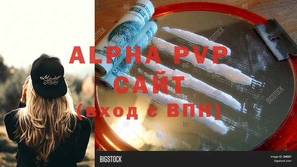индика Богородск