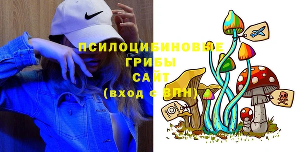 индика Богородск
