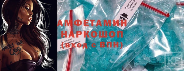 индика Богородск