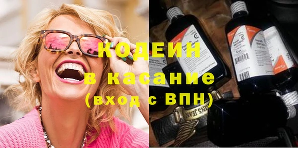 индика Богородск