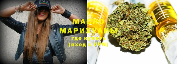 индика Богородск