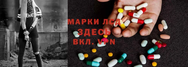 индика Богородск