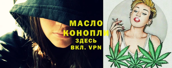 индика Богородск